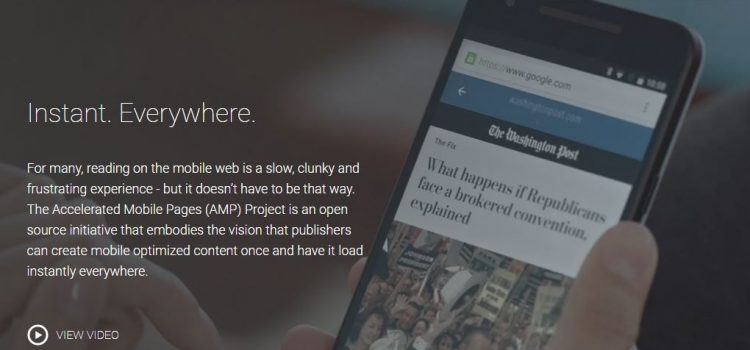 WordPress AMP相關文章與分享按鈕